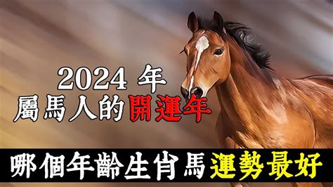 屬馬的人|2024屬馬幾歲、2024屬馬運勢、屬馬幸運色